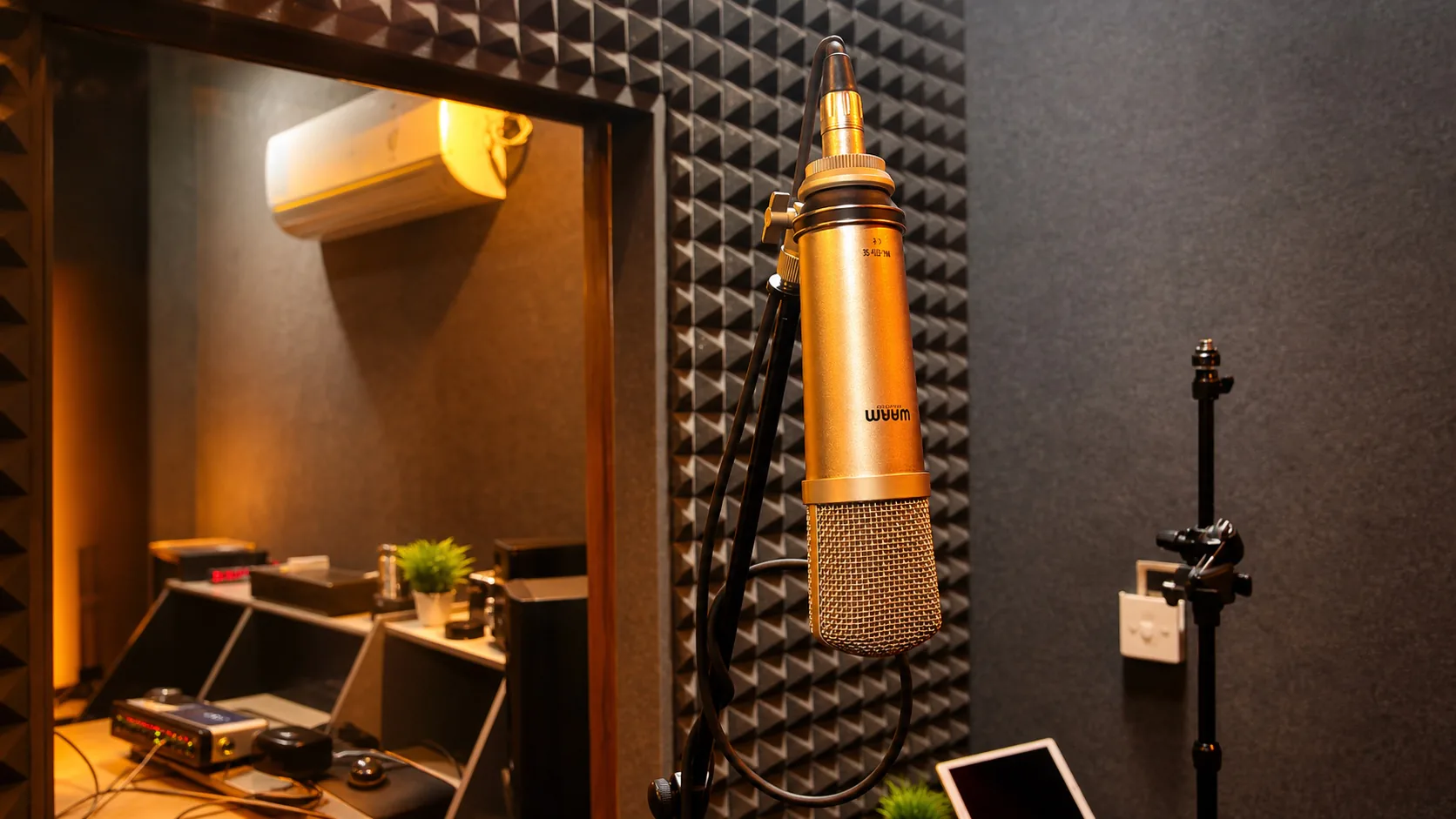 Enhanced close landscape view of a suspended condenser microphone and acoustic treatment