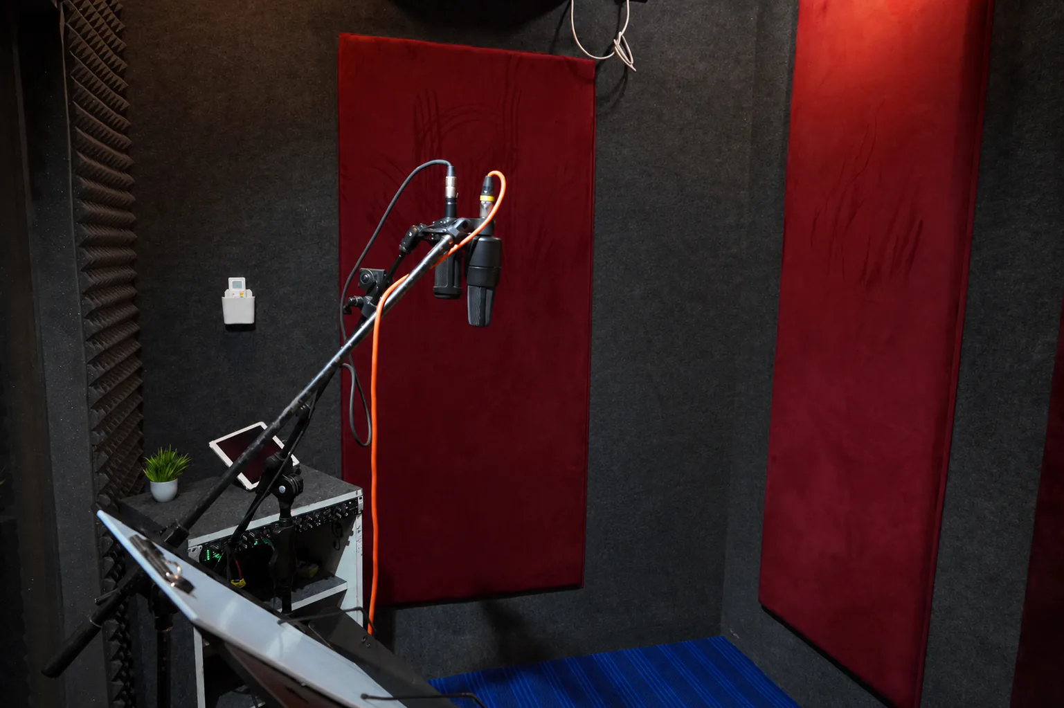 Empty spacious vocal booth with microphones, acoustic treatment, and session equipment
